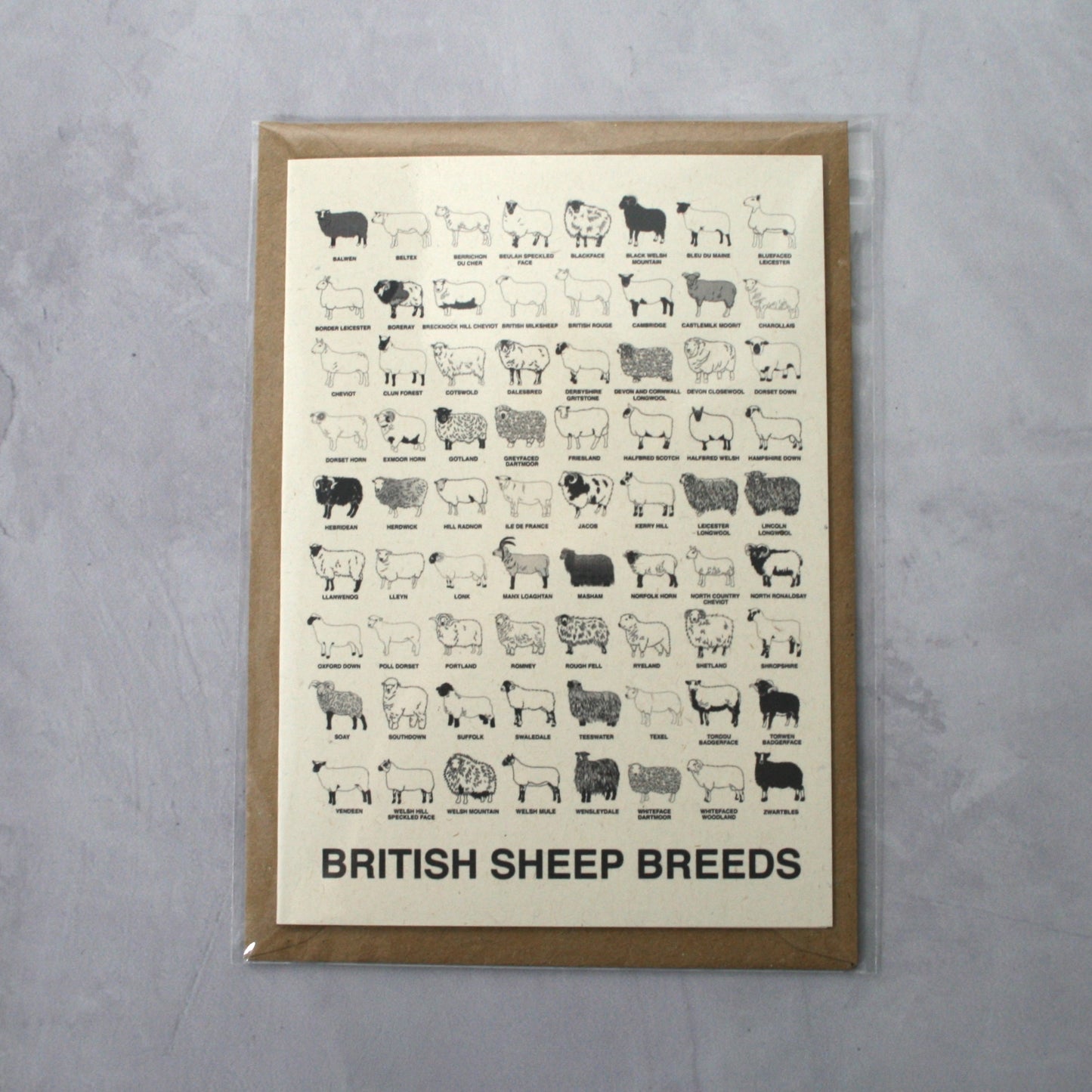 The Woolist British Sheep Breeds Notecard