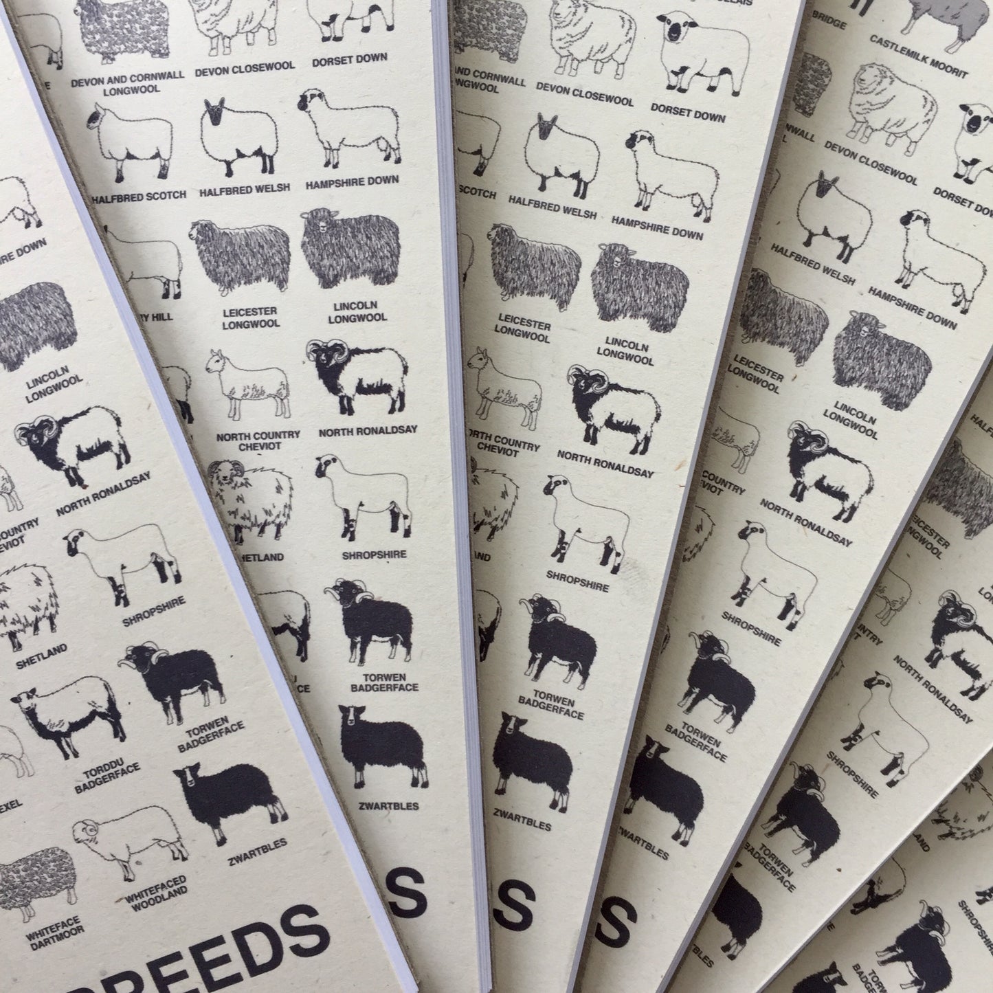 The Woolist British Sheep Breed Notebook