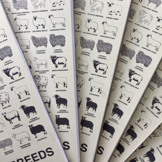 The Woolist British Sheep Breed Notebook